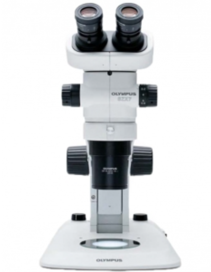 奥林巴斯 BXFM小型系统显微镜 